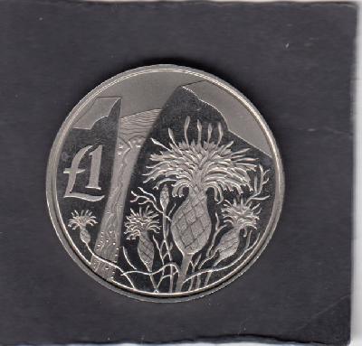 Beschrijving: 1 Pond FLOWER